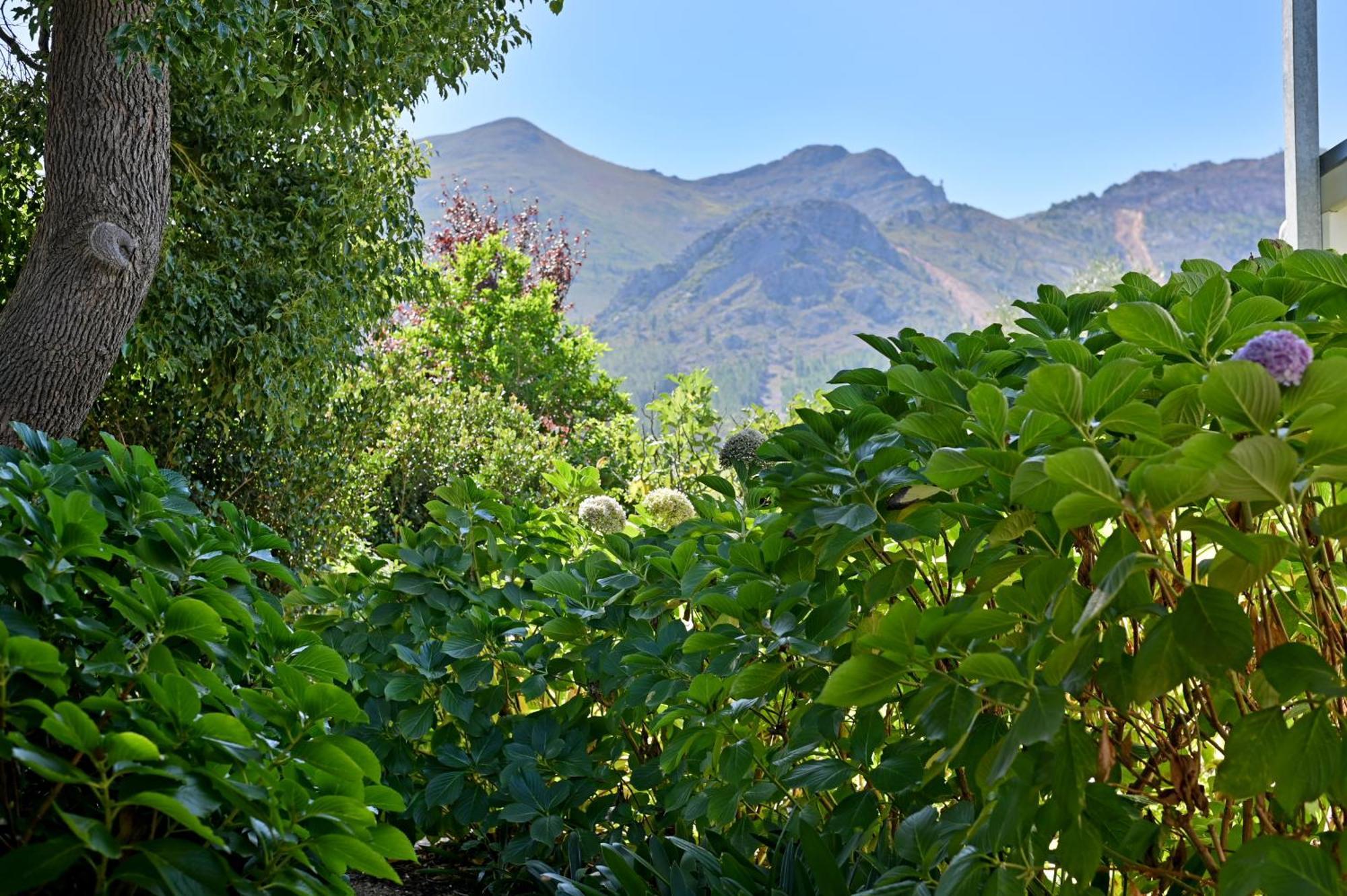 Fransvliet Guest House Franschhoek Kültér fotó