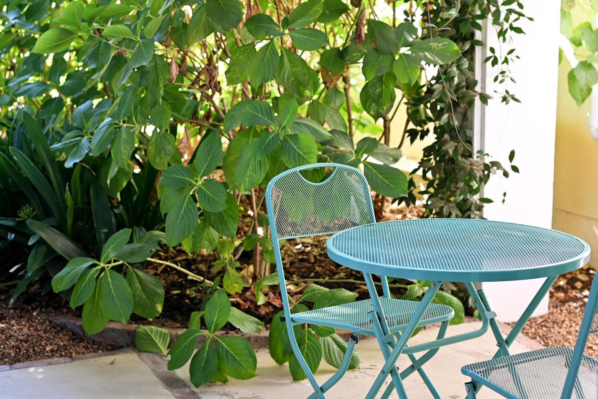 Fransvliet Guest House Franschhoek Kültér fotó